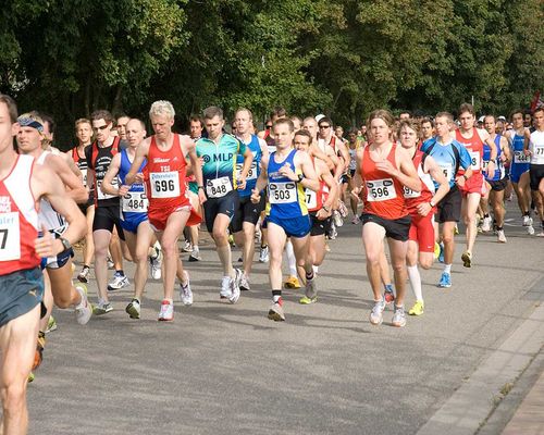Baden-Württembergische Halbmarathon-Straßenlaufmeisterschaften