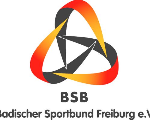 BSB Freiburg versichert alle gewählten und berufenen Ehrenamtlichen in der VBG 