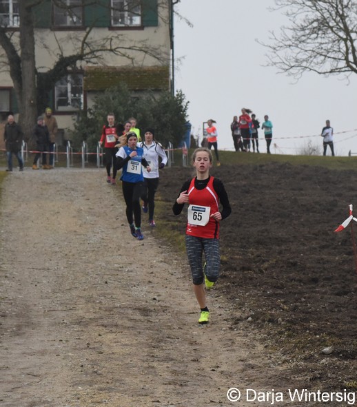 Spannende Rennen bei den BaWü Cross auf der Reichenau