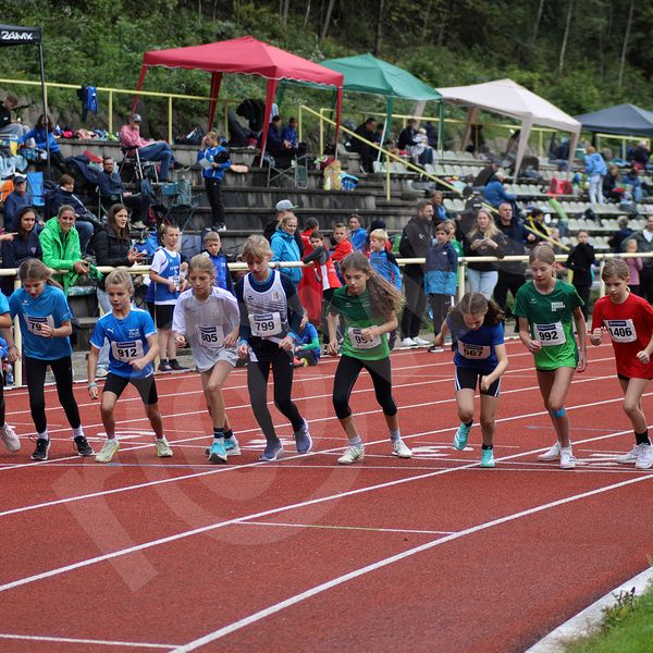 Fundsachen vom BLV-BSMM-Finale in Bühlertal