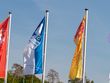 Ausschreibung für das BLV-BSMM-Finale 2025 in Bühlertal veröffentlicht 