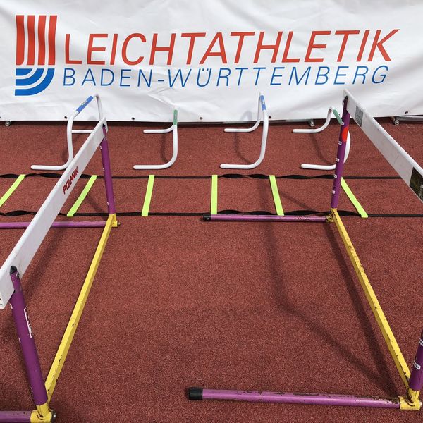 Online-Fortbildung Hindernislauf im Jugendalter