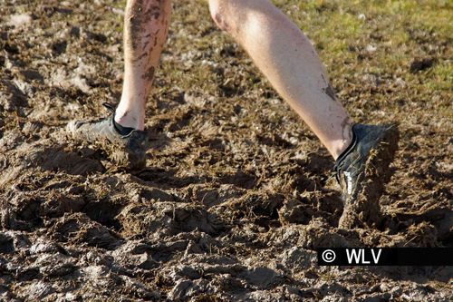 Baden-Württembergische Crosslauf-Meisterschaften am 15. Februar 2020 in Weinstadt