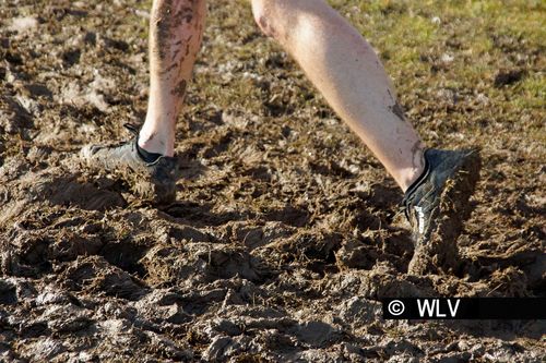 Baden-Württembergische Crosslauf-Meisterschaften am 15. Februar 2020 in Weinstadt