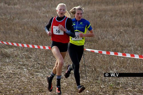 Baden-Württembergische Crosslauf-Meisterschaften am 15. Februar 2020 in Weinstadt