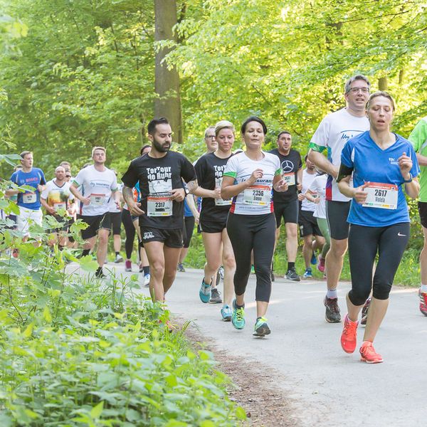 Lauf dich fit! – Die Fortbildung für alle Laufinteressierten