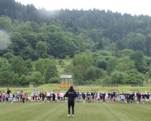 Praktikum oder Nebenjob im BLV: Projektmitarbeiter:in für (Schul-)Sportprojekte gesucht
