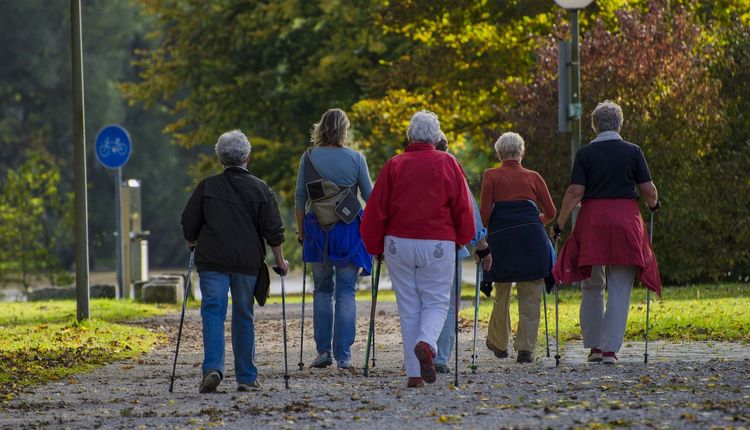 Ausbildung zum Nordic Walking Instruktor - Jetzt anmelden!