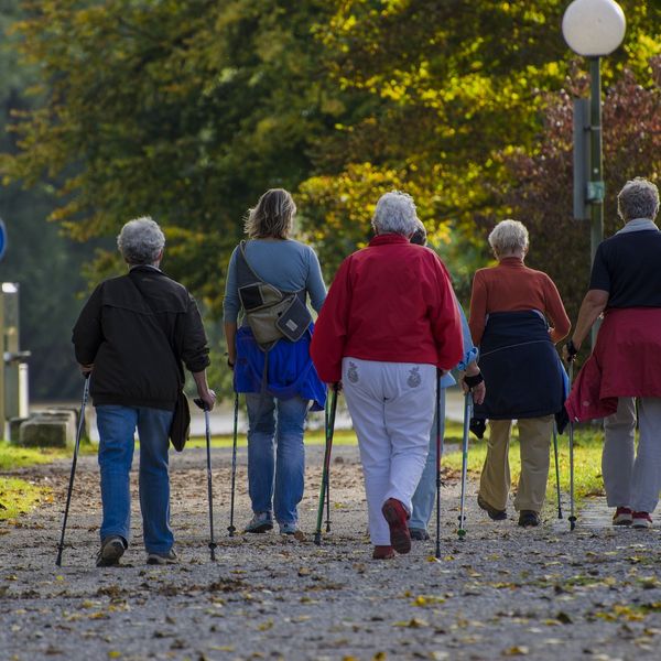 Ausbildung zum Nordic Walking Instruktor - Jetzt anmelden!