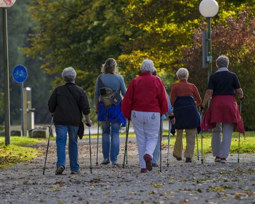 Ausbildung zum Nordic Walking Instruktor - Jetzt anmelden!