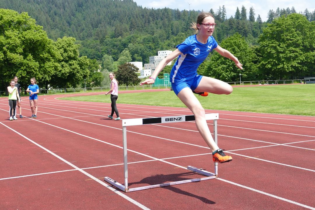 Foto: Harald Schaich