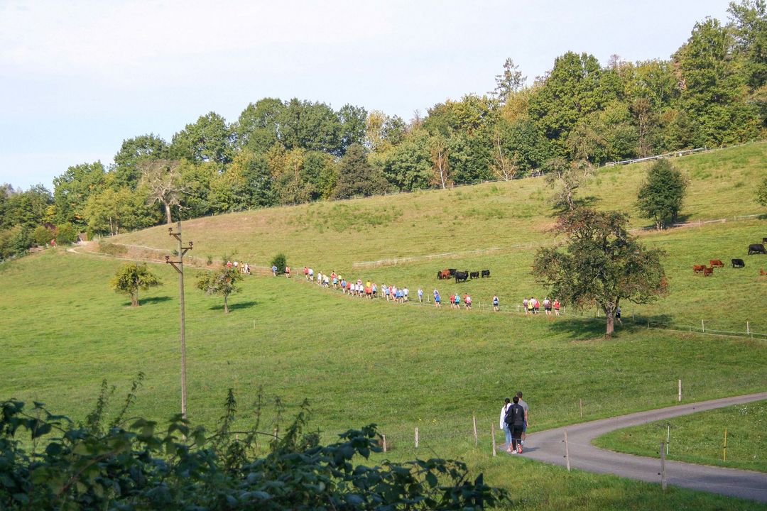 Impressionen der BW Trailrun in Zell am Harmersbach