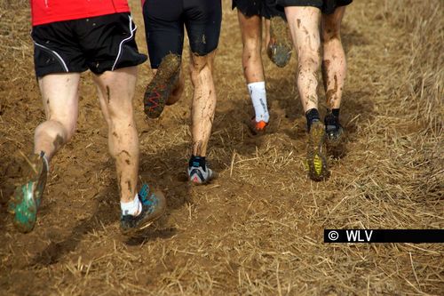 Baden-Württembergische Crosslauf-Meisterschaften am 15. Februar 2020 in Weinstadt