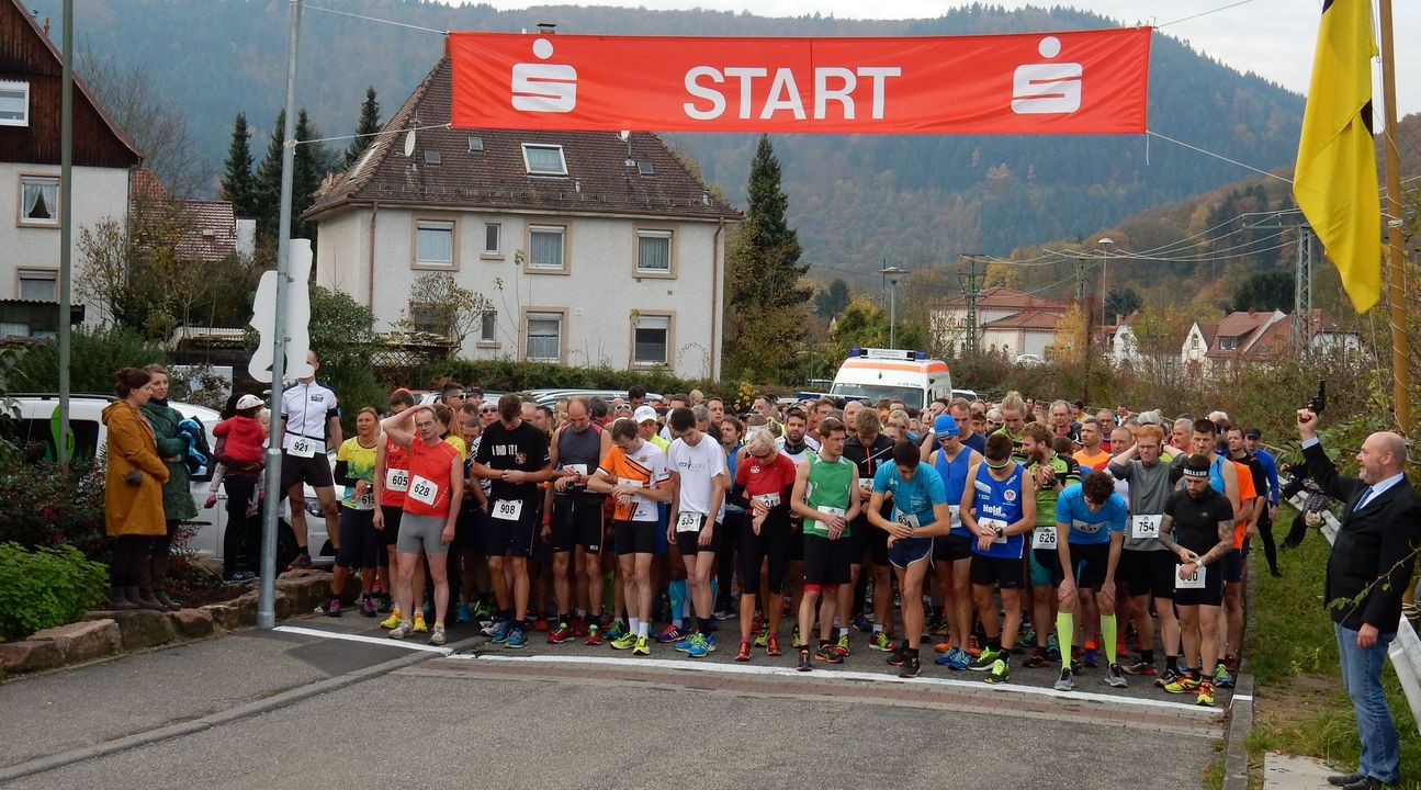 (L)auf zum Königstuhl (Heidelberg)