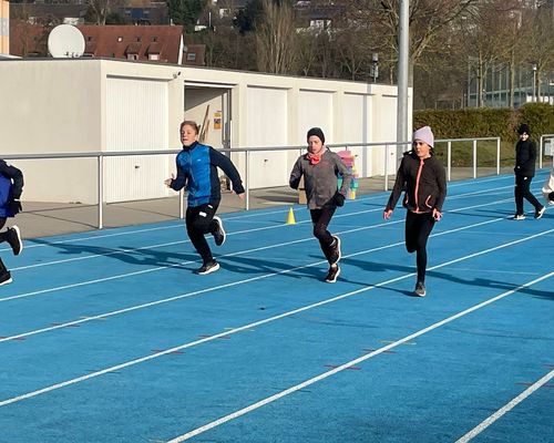 U14-Talentteams: Weitere Label-Übergabe am Standort Mosbach/Sinsheim