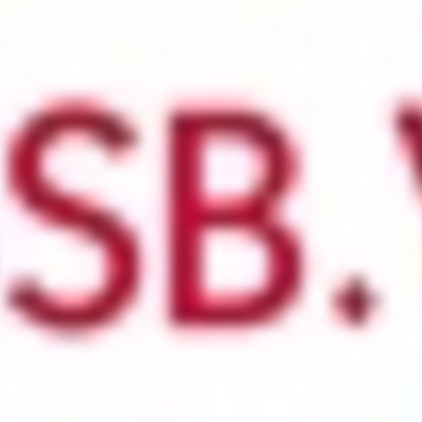 BSB.VIBSS.de: Badischer Sportbund Nord startet neue Online-Plattform für Vereinsmanagement