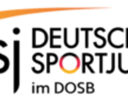 Neue Fortbildungen im Bereich der Internationalen Jugendarbeit Angebote für Teamer/innen und Coaches