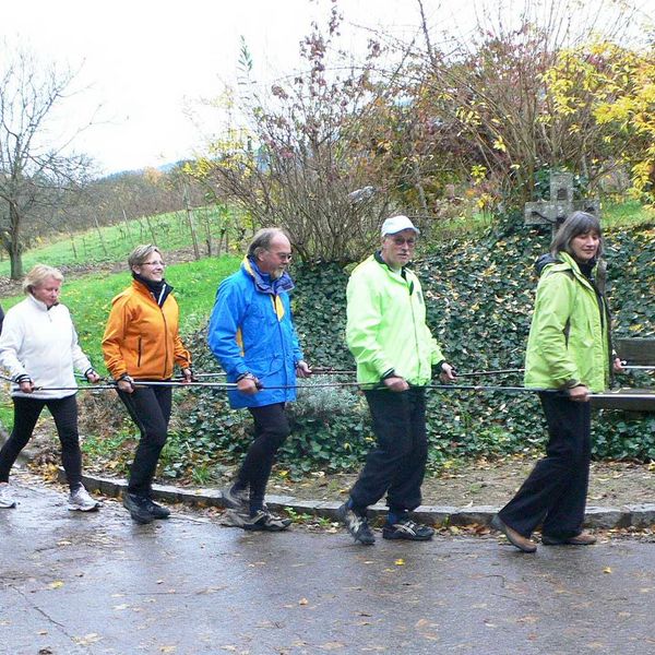 Walking-Leiter-Seminar
