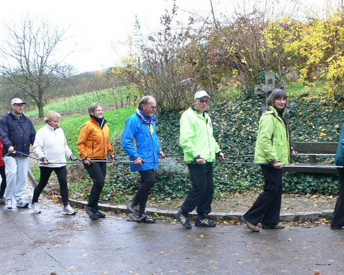 Walking-Leiter-Seminar