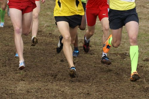 Baden-Württembergische Crosslaufmeisterschaften am 15. Februar in Weinstadt