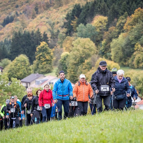 Ausbildung zum Nordic Walking Instructor