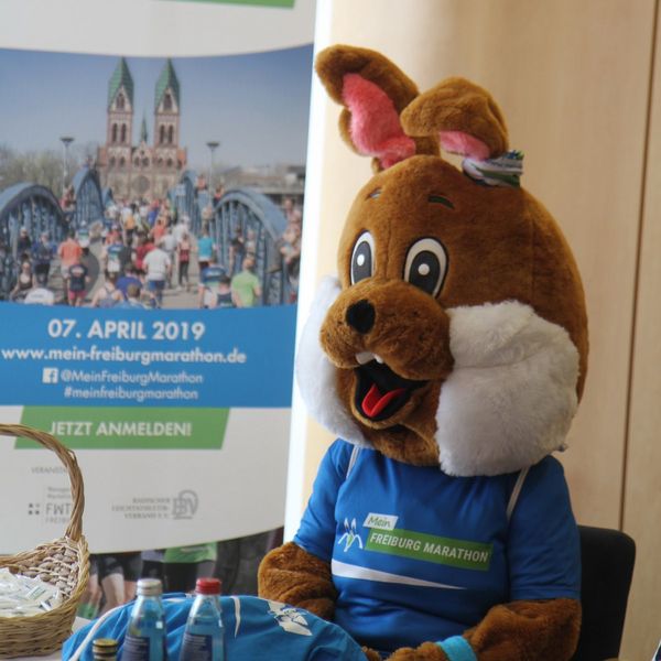Deutsche Meisterschaften Halbmarathon als Höhepunkt des MEIN FREIBURG MARATHON 2019