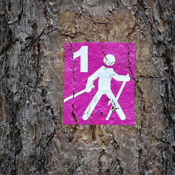 Ausbildung zum Nordic Walking Instruktor startet im Oktober