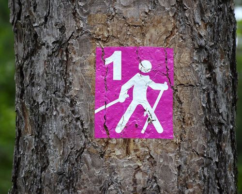Ausbildung zum Nordic Walking Instruktor startet im Oktober