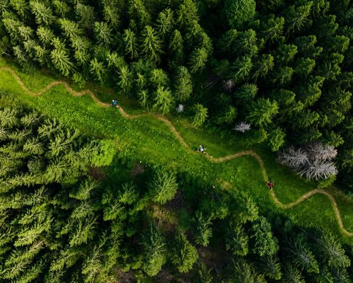 Interreg-Projekt „Trail Running verbindet - Bildung, Bewegung und Naturerlebnis in der Oberrheinregion“ bewilligt 
