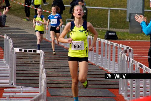 Baden-Württembergische Crosslauf-Meisterschaften am 15. Februar 2020 in Weinstadt