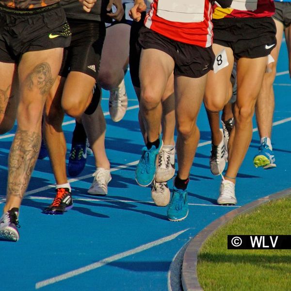 Schutzkonzept Leichtathletik-Wettkämpfe: Update verfügbar