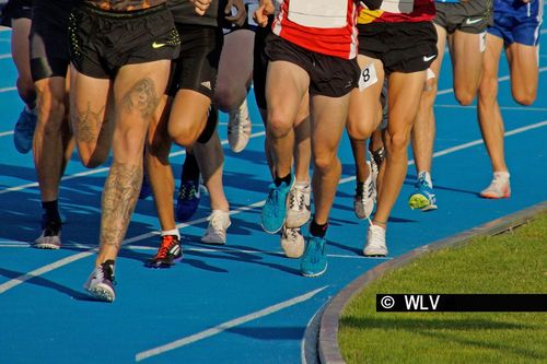 Schutzkonzept Leichtathletik-Wettkämpfe: Update verfügbar