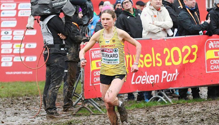 Die Crosslauf-Favoriten setzen sich durch 