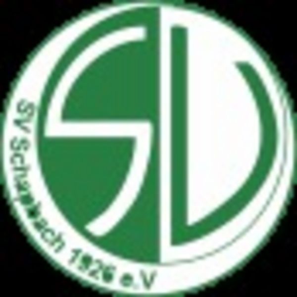 Schwarzwaldmeeting lockt Kugelstoßweltmeister Schwanitz & Storl nach Schapbach