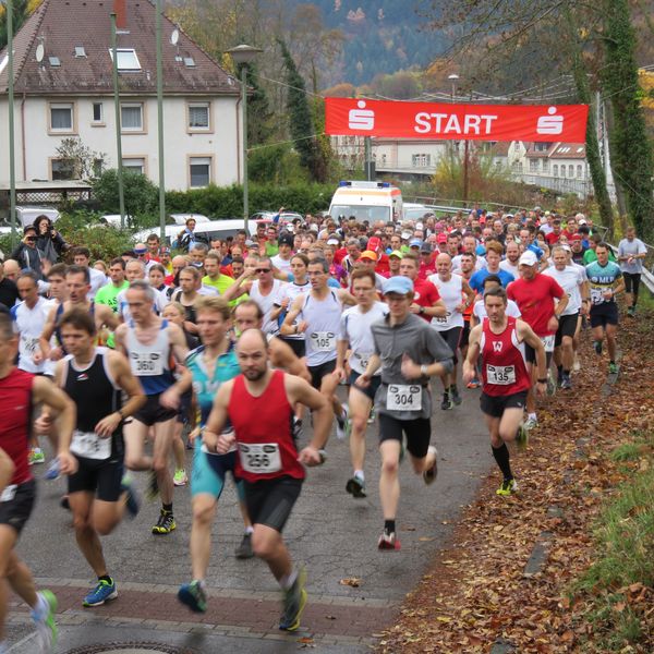 (L)auf zum Königstuhl (Heidelberg)