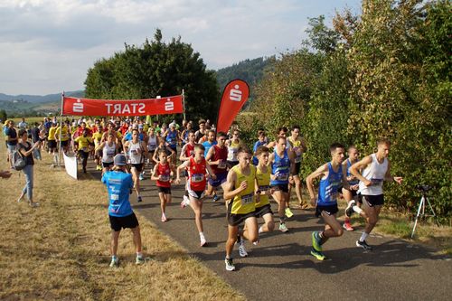 Top-Leistungen und großer Spaß beim Top-Life Night Run