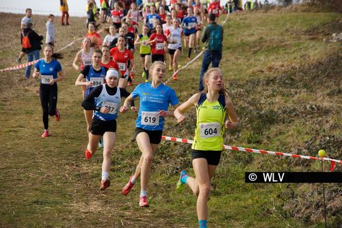 Baden-Württembergische Crosslauf-Meisterschaften am 15. Februar 2020 in Weinstadt