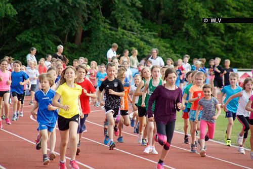 DOSB entwickelt Positionspapier zur Wiederaufnahme des Vereinssports