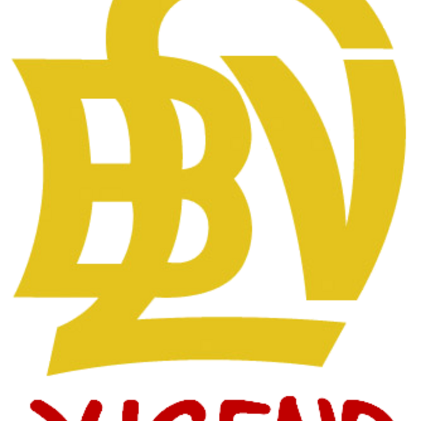 VOTE NOW: Welches Design bekommt das neue BLV-Jugend T-Shirt 2015?