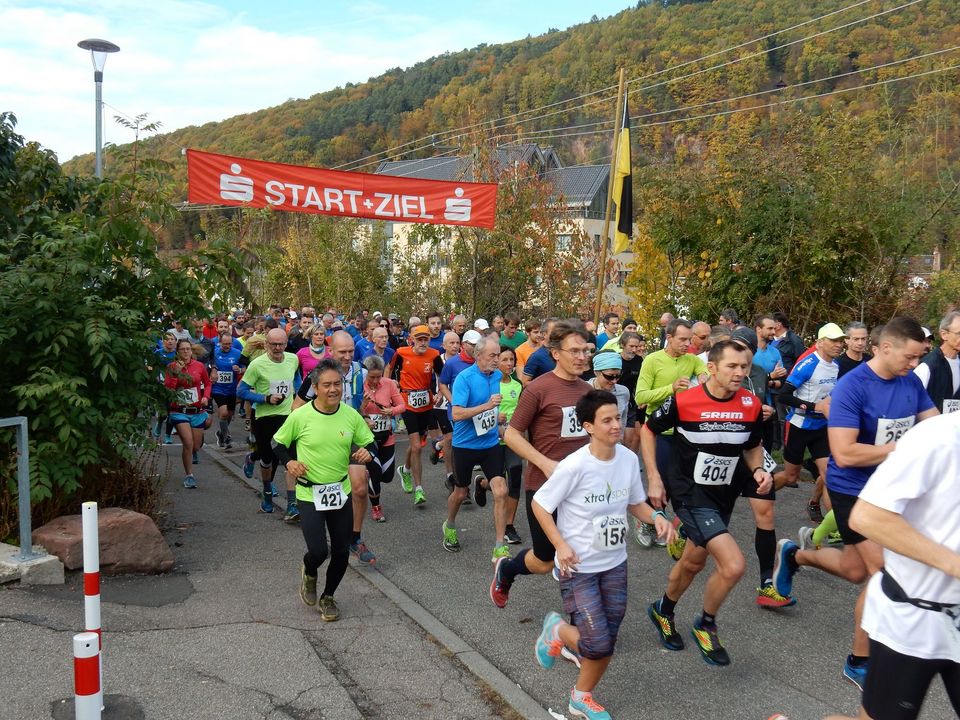 (L)auf zum Königstuhl (Heidelberg)