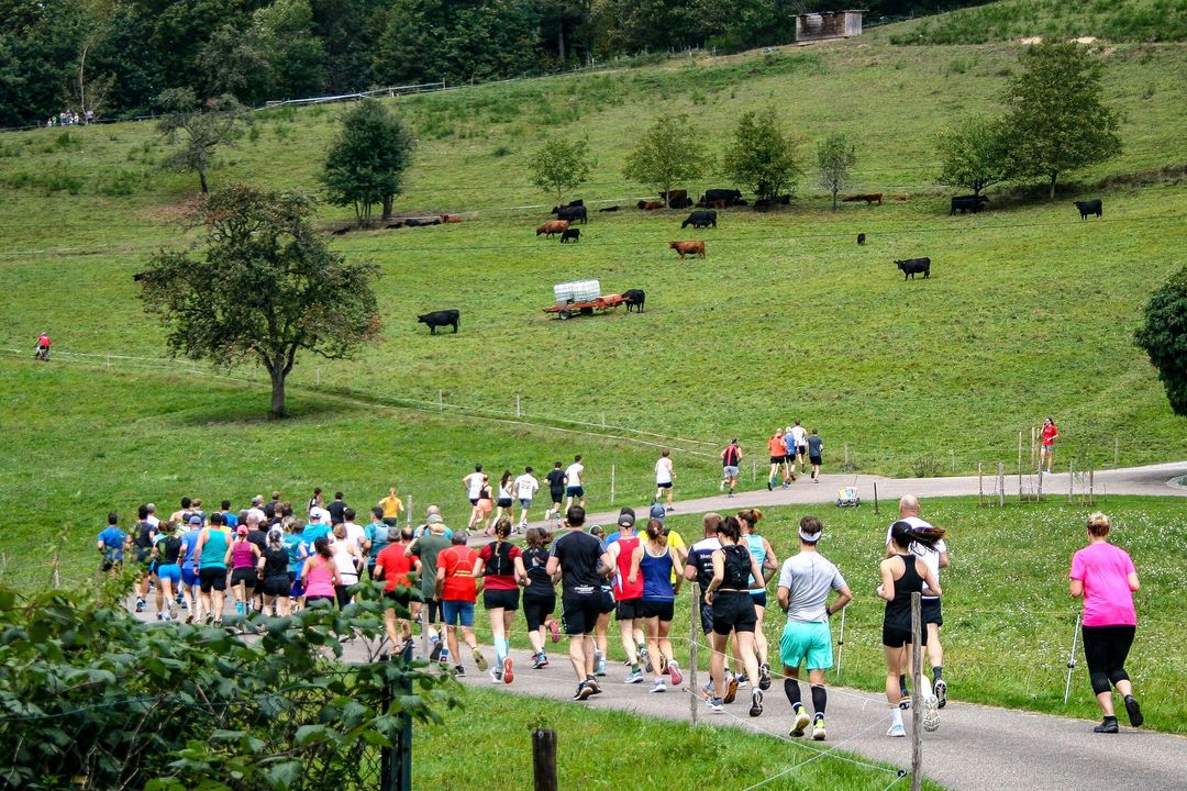 2 Tage, 2 Strecken: DM Berglauf und TrailRUN im April in Unterharmersbach