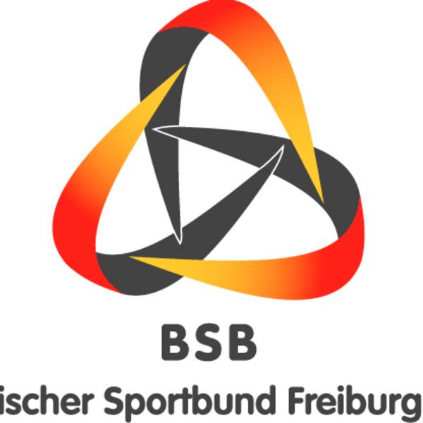 BSB Freiburg versichert alle gewählten und berufenen Ehrenamtlichen in der VBG 