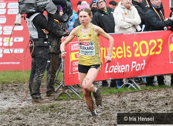 BWLA | Wettkampf kompakt