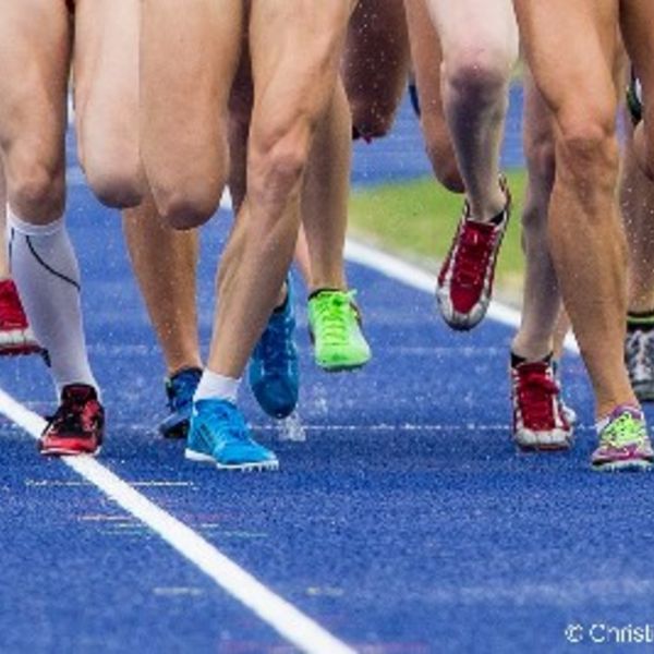 Laufbahn-Seminar mit Polytan am 16.05.2018 in Sinsheim