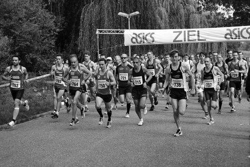 Baden-Württembergische Halbmarathonmeisterschaften