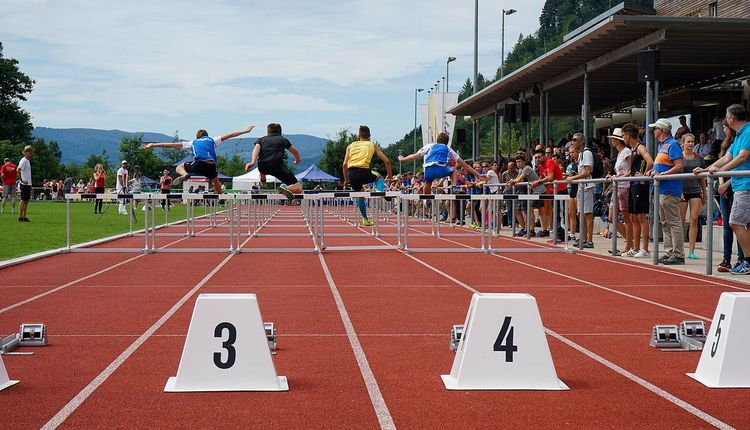 Ausschreibung mit Rangliste für BLV BSMM-Finale in Eppelheim aktualisiert