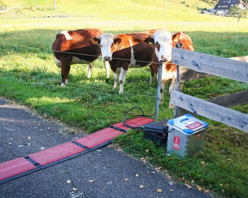 Zeitmessung aus dem Homeoffice: Laufveranstalter aufgepasst