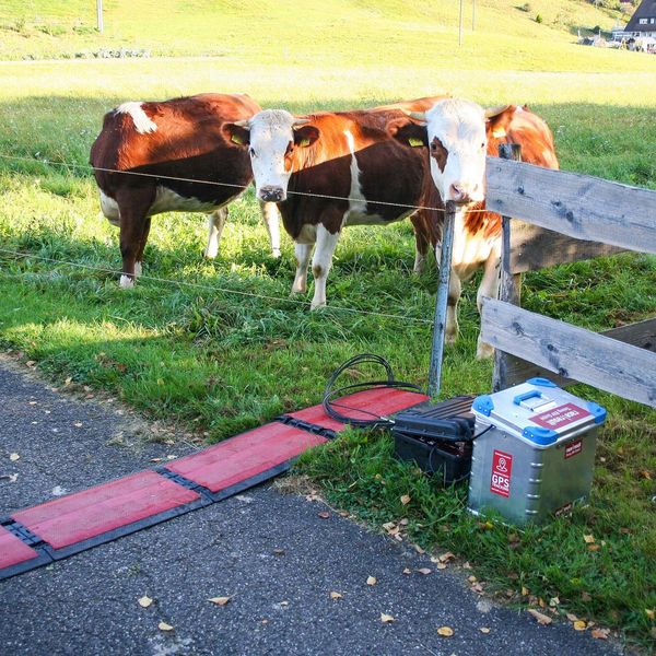 Zeitmessung aus dem Homeoffice: Laufveranstalter aufgepasst