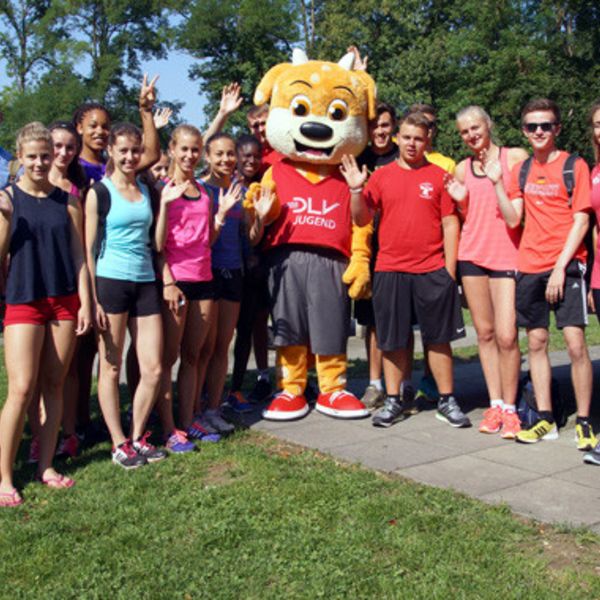 DM-Camp 2016