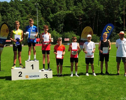 Bilder und Nachbericht der BLV-Vierkampf U14 in Bühlertal